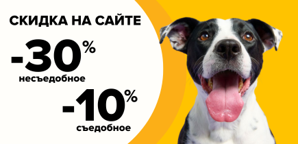 Каждый день выгодно! Заказывайте со скидкой прямо сейчас!